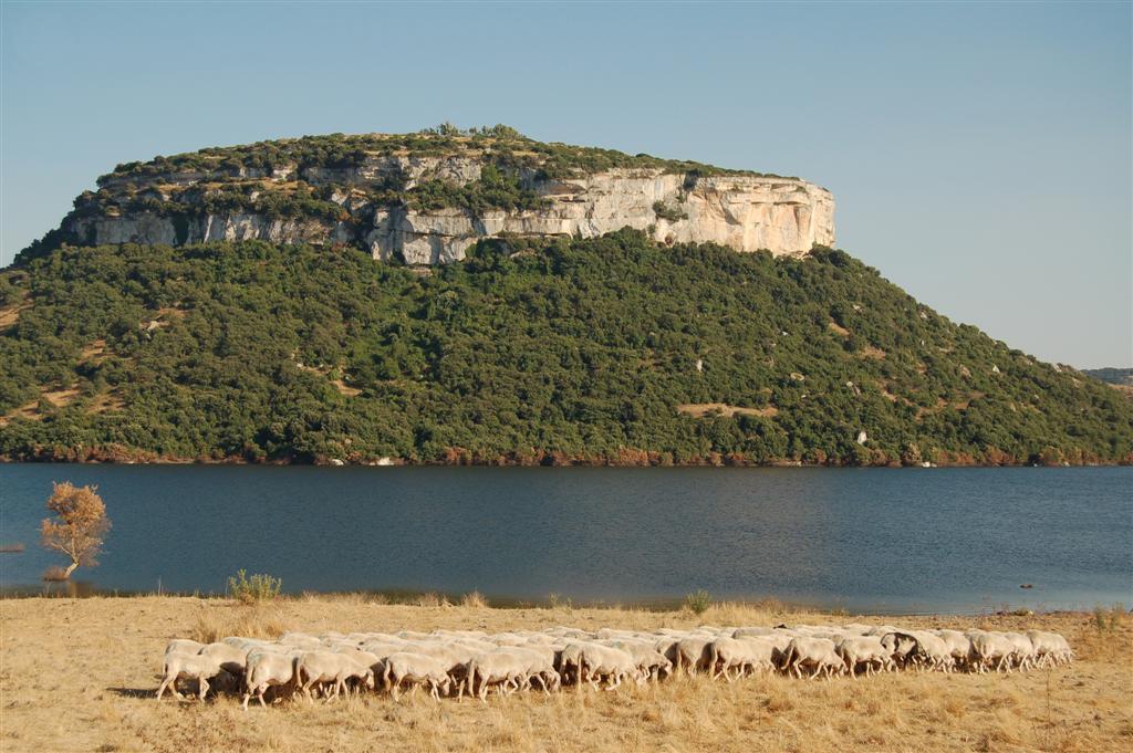Brancadoria B&B Monteleone Rocca Doria Εξωτερικό φωτογραφία